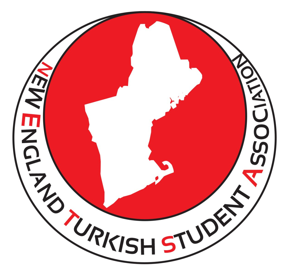 NETSA Logo
